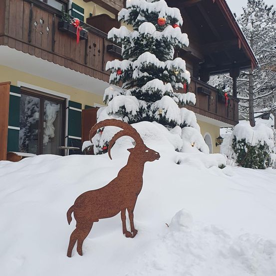 Ein Haus mit einem schneebedeckten Weihnachtsbaum davor, eine Metallziege-Statue steht im Schnee.