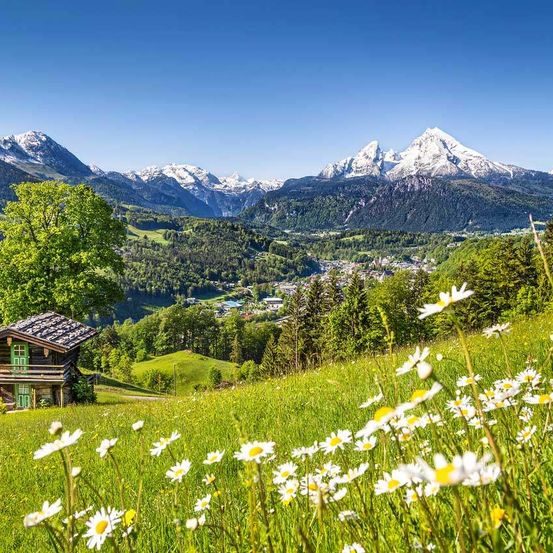 Eine malerische Szene mit einer kleinen Holzhütte, weißen Blumen und verschneiten Bergen im Hintergrund.