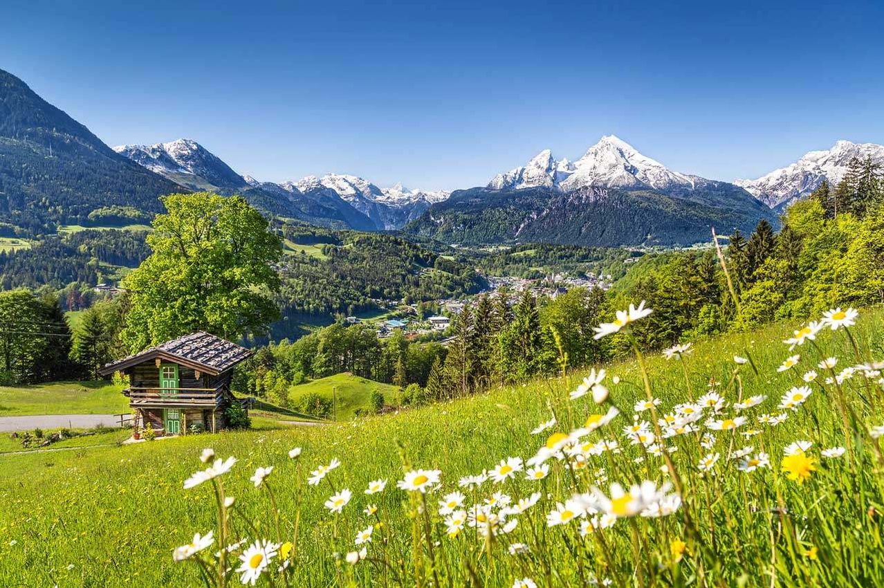A picturesque Alpine landscape features a wooden cabin with green trim set against a backdrop of snow-capped mountains and lush greenery. The foreground is filled with vibrant daisies and a blue sky.