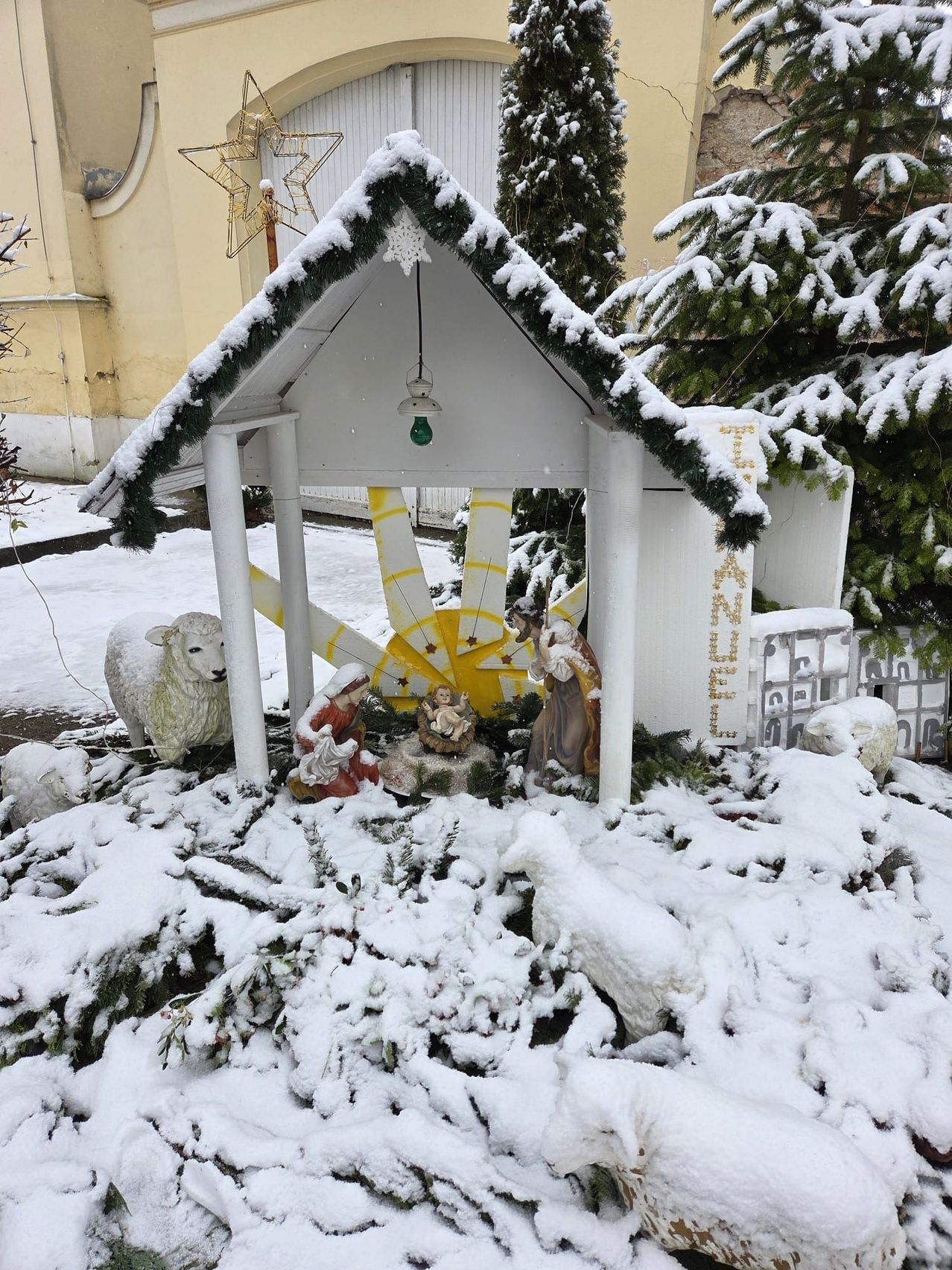 Eine Krippe im Freien ist mit Schnee bedeckt. Sie zeigt Figuren von Jesus, Maria und Josef sowie eine hängende grüne Laterne. Zwei Schafsstatuen und Tannenzweige schmücken die Szene.