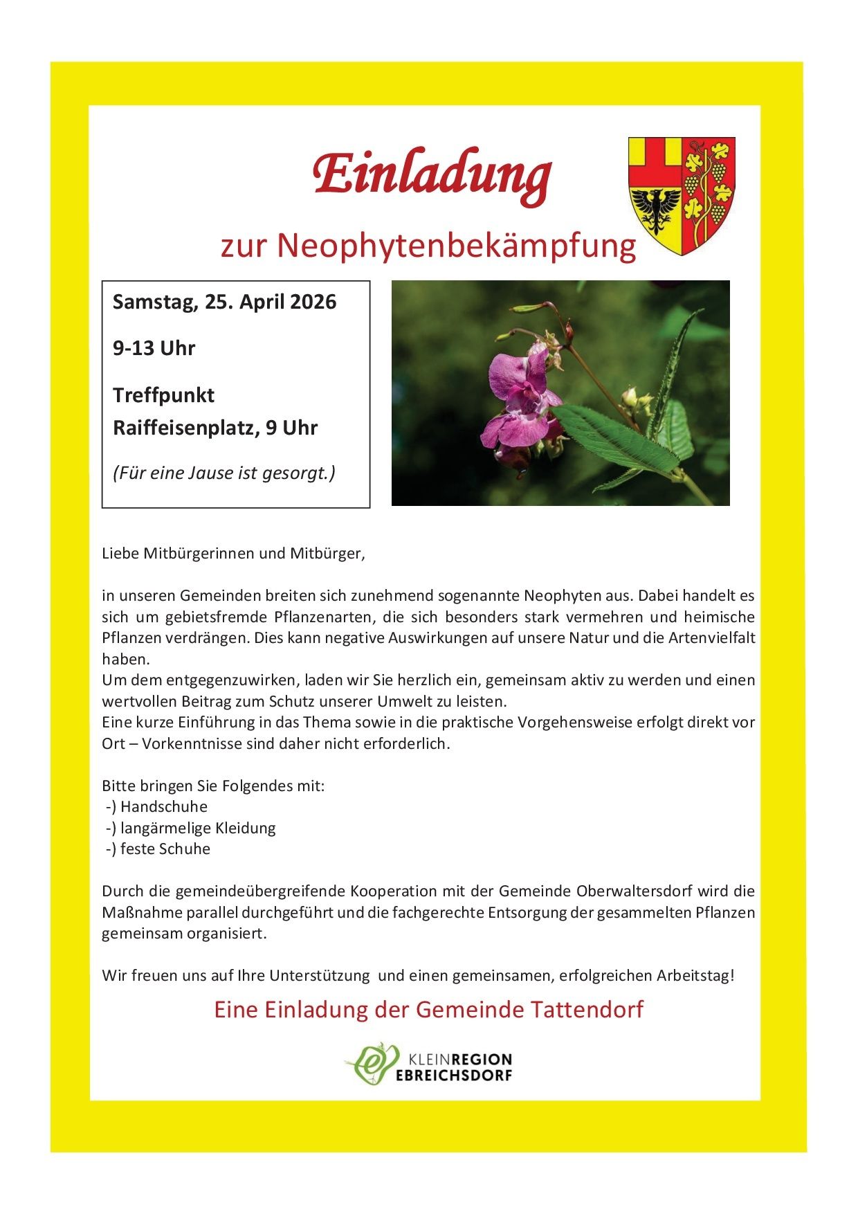 Einladung zur Neophytenbekämpfung. Samstag, 25. April 2026, 9-13 Uhr. Treffpunkt Raiffeisenplatz, 9 Uhr (Für eine Jause ist gesorgt). Eine kurze Einführung zum Thema sowie die praktische Vorgehensweise erfolgt direkt vor Ort - Vorkenntnisse sind daher nicht erforderlich. Bitte bringen Sie Folgendes mit: Handschuhe, längereiche Kleidung und feste Schuhe. Durch die gemeindeübergreifende Kooperation mit der Gemeinde Oberwaltersdorf wird die Maßnahme parallel durchgeführt und die fachgerechte Entsorgung der gesammelten Pflanzen gemeinsam organisiert. Wir freuen uns auf Ihre Unterstützung und einen gemeinsamen, erfolgreichen Arbeitstag! Eine Einladung der Gemeinde Tattendorf.
