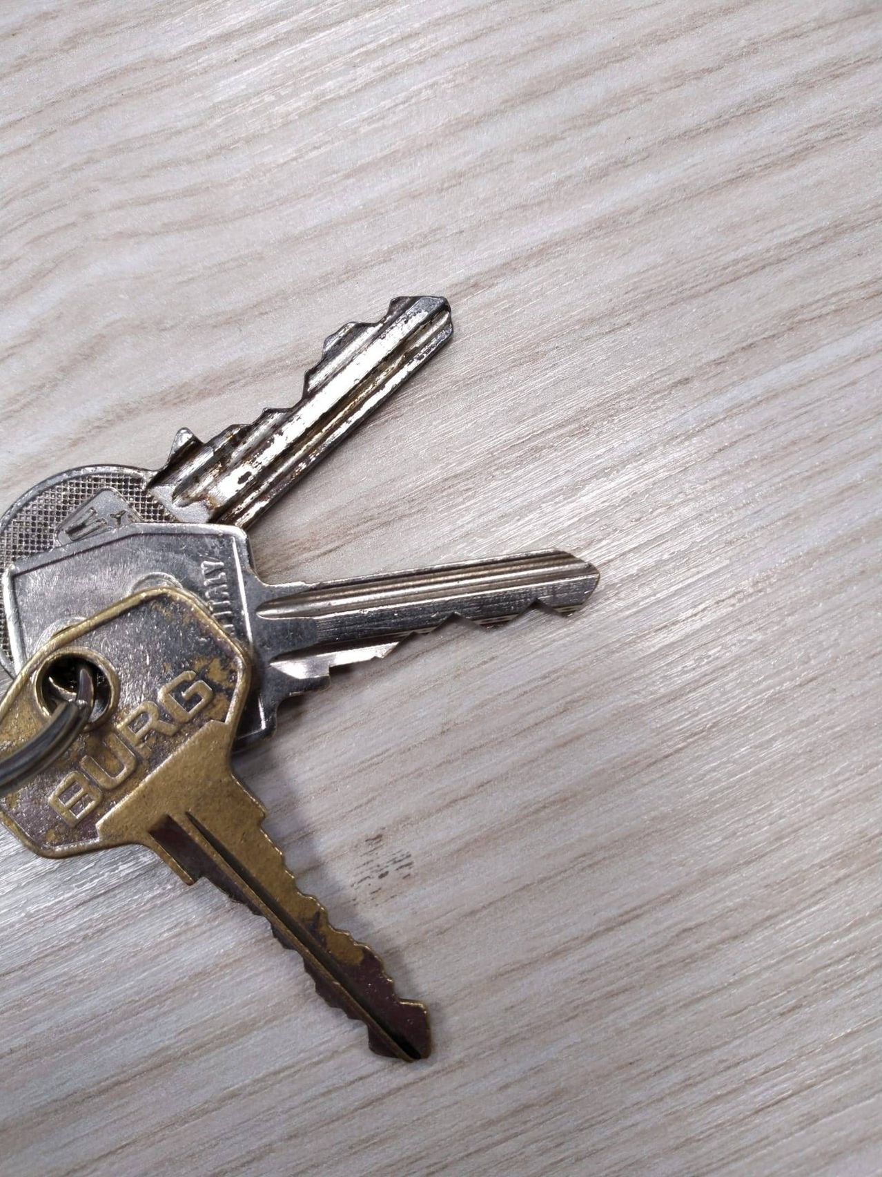 Drei silberne Schlüssel, einer mit der Aufschrift 'BURG', liegen auf einer hölzernen Oberfläche. Die Schlüssel haben einen metallischen Glanz und sind leicht abgenutzt.