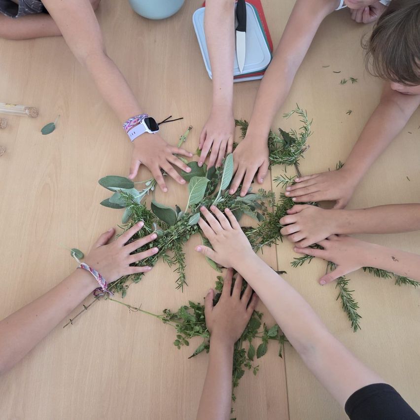 Kinder versammeln sich um einen Tisch, ihre Hände berühren eine Sammlung von Kräutern und Grünpflanzen. Die Umgebung scheint ein Klassenzimmer oder Workshop zu sein.