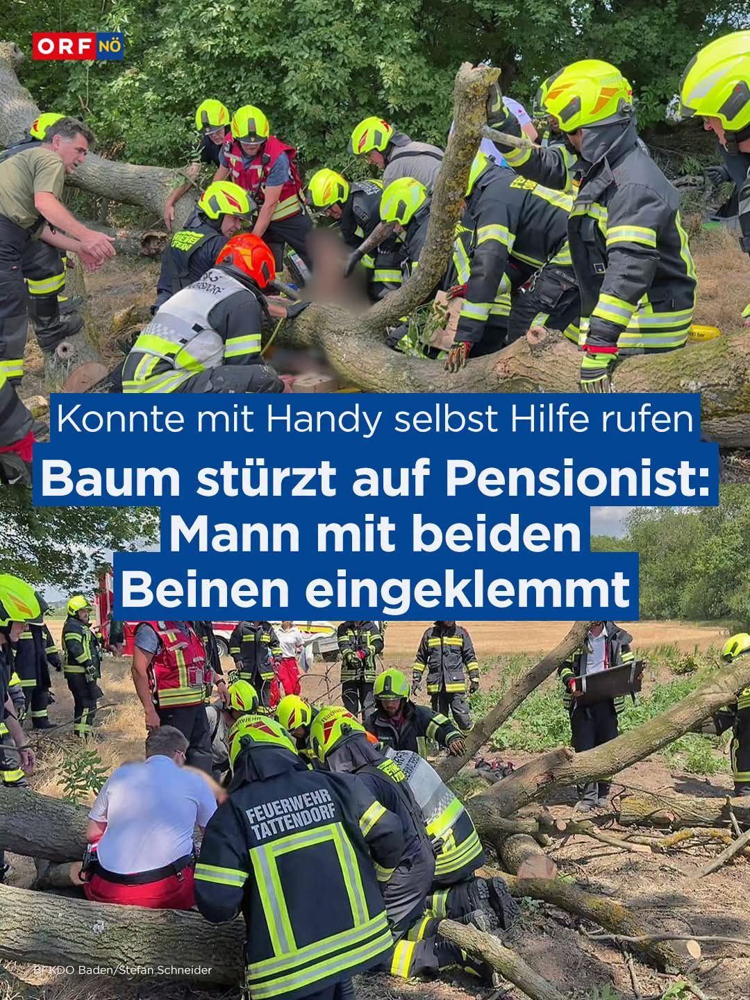 Emergency responders are working to free a man trapped under a fallen tree. The rescue involves multiple firefighters using tools and equipment. The man is seen with his legs trapped under the tree.