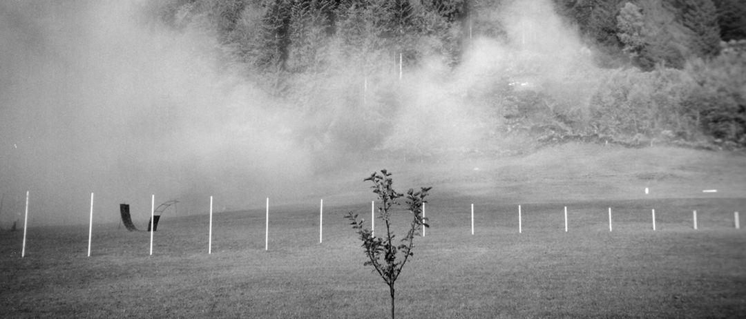 Ein Schwarz-Weiß-Foto einer nebligen Landschaft mit Bäumen und Stangen auf dem Feld.