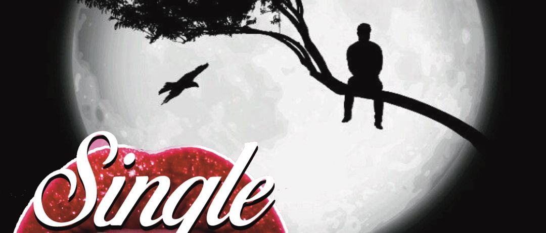Ein Veranstaltungsplakat für eine Single-Party mit der Silhouette eines Mannes auf einem Ast, einem fliegenden Vogel und einem Vollmond im Hintergrund. Der Text lautet 'Single Party' und 'Die nächste Generation...'. Ort: Tulln, Hauptplatz 25. Beginn um 21:00 Uhr.