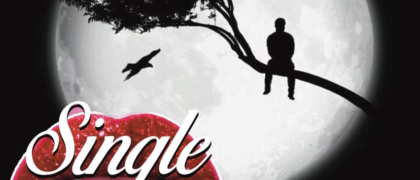 Ein Veranstaltungsplakat für eine Single-Party mit der Silhouette eines Mannes auf einem Ast, einem fliegenden Vogel und einem Vollmond im Hintergrund. Der Text lautet 'Single Party' und 'Die nächste Generation...'. Ort: Tulln, Hauptplatz 25. Beginn um 21:00 Uhr.