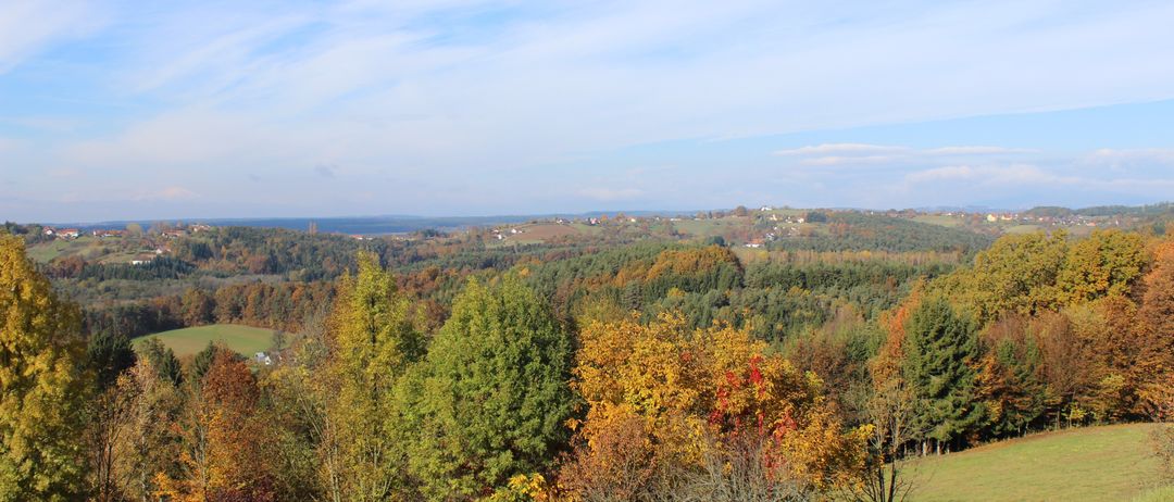 Ein Panoramablick auf ein Tal gefüllt mit Bäumen in verschiedenen Farben, darunter gelb, orange und grün, unter einem blauen Himmel mit verstreuten Wolken.