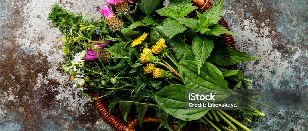 Ein Korb aus Weide mit verschiedenen Kräutern und Blumen auf einer strukturierten Oberfläche. Die Sammlung umfasst rosa Blüten, gelbe Blüten und grüne Blätter.
