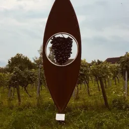 Eine braune Skulptur mit kreisförmigem Ausschnitt steht in einem Weinberg, mit Trauben in der Mitte, unter einem bewölkten Himmel.