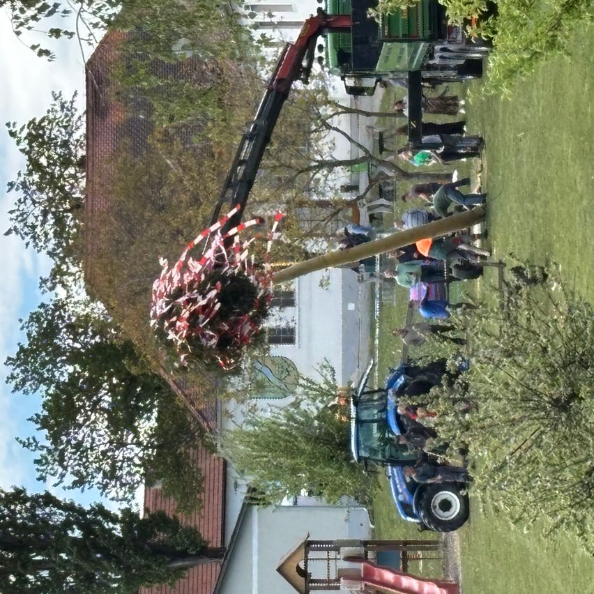 Ein Baum mit einer großen roten Blume oben wird von einem Kran in einem Hof angehoben. Leute in Westen stehen um ein Gebäude mit einer Uhr herum, während ein blauer Traktor in der Nähe geparkt ist.