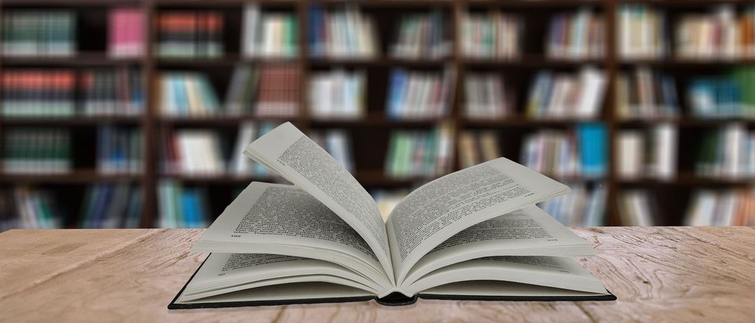 Bild enthält, Book, Publication, Furniture, Indoors, Library, Bookcase