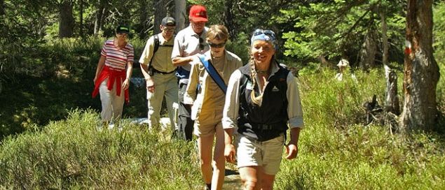 Eine Gruppe von Menschen wandert in einem Wald, einige tragen Hüte und Brillen. Sie laufen auf einem Grasweg, umgeben von hohen Bäumen.