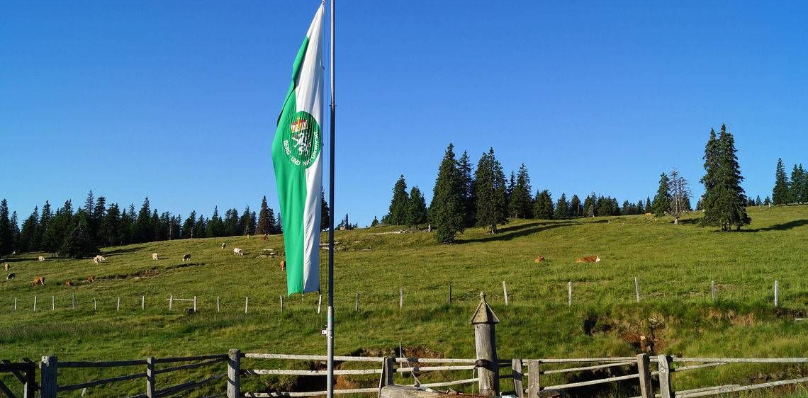 v1_migrated_image_2649795