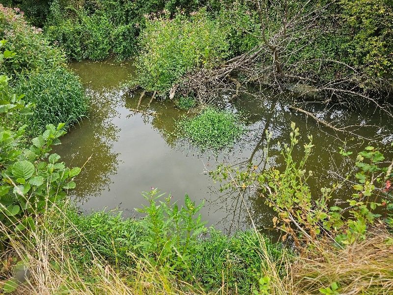 Dadurch gibt es wieder größere Wasserflächen, für Fische etc.