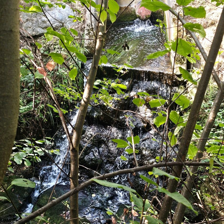 Abfluss Kläranlage, Ab hier gibt es wieder Wasser im Bach