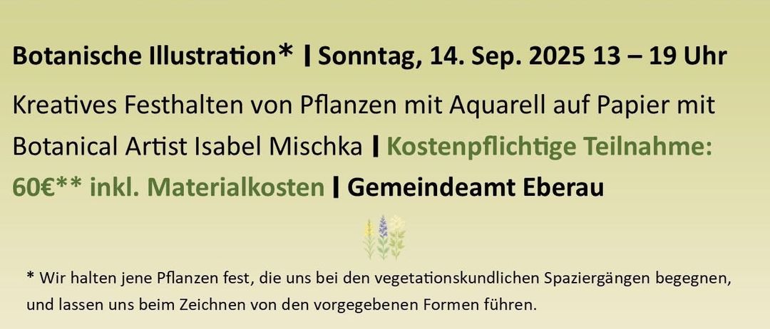 Botanische Illustration* | Samstag, 13. Sep. 2025 13-19 Uhr. Kreatives Festhalten von Pflanzen mit Bleistift & Tusche auf Papier mit Botanischer Künstlerin Isabel Mischka | Kostenpflichtige Teilnahme: 60€ inkl. Materialkosten | Gemeindeamt Eberau