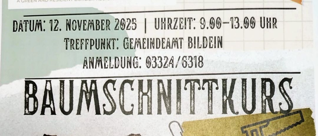 Ein Plakat bewirbt einen Baumschnittkurs am 12. November 2025 von 9:00 bis 13:00. Treffpunkt ist Gemeindeamt Bildein. Anmeldung: 03324/6318. Bilder zeigen einen Baumstumpf, eine Säge und eine Hand, die Äste schneidet.