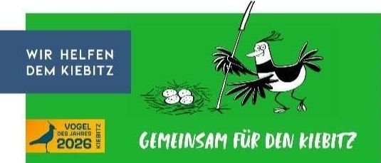 Plakat für ein Workshop über die Uferschnepfe mit einem Vogel im Nest, grünem Hintergrund und Details zum Termin, Zeit und Ort. Es enthält einen Aufruf zur Anmeldung und Kontaktinformationen.