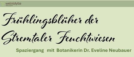 Plakat für eine botanische Wanderung am 22. März 2026, geleitet von Dr. Eveline Neubauer, mit Fokus auf die Feuchtwiesen des Stremtals. Die Veranstaltung beinhaltet einen Spaziergang durch die Feuchtwiesen von Hagensdorf und die Entdeckung der früh blühenden Stremtal-Feuchtwiesenblumen. Kontaktinformationen für die Anmeldung sind angegeben.