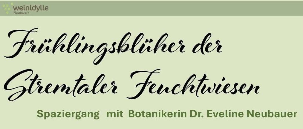 Plakat für eine botanische Wanderung am 22. März 2026, geleitet von Dr. Eveline Neubauer, mit Fokus auf die Feuchtwiesen des Stremtals. Die Veranstaltung beinhaltet einen Spaziergang durch die Feuchtwiesen von Hagensdorf und die Entdeckung der früh blühenden Stremtal-Feuchtwiesenblumen. Kontaktinformationen für die Anmeldung sind angegeben.