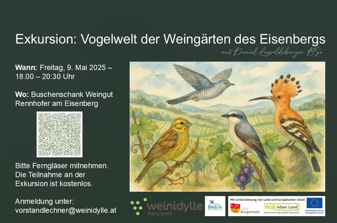 Bild enthält, Animal, Bird, Finch, Bee Eater, Beak, Anthus, QR Code, Jay