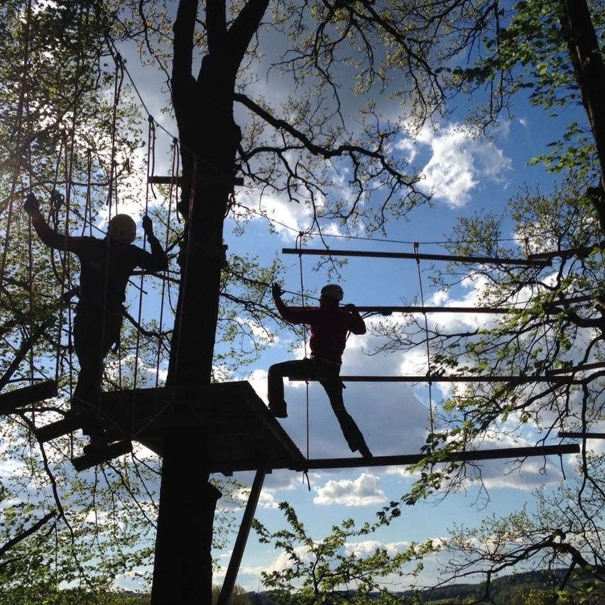 Zwei Personen klettern eine Seilleiter hoch in einem Baum, eine hält sich an den Seilen fest und die andere greift nach unten. Der Schauplatz ist ein Wald mit klarem blauem Himmel.
