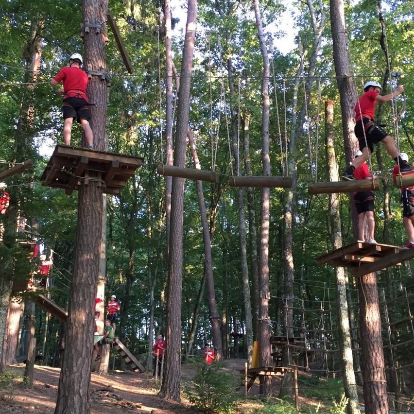 Teilnehmer eines Waldabenteuerkurses navigieren durch verschiedene Holzplattformen und Hindernisse, die durch Seile verbunden sind, während sie Sicherheitsausrüstung tragen.