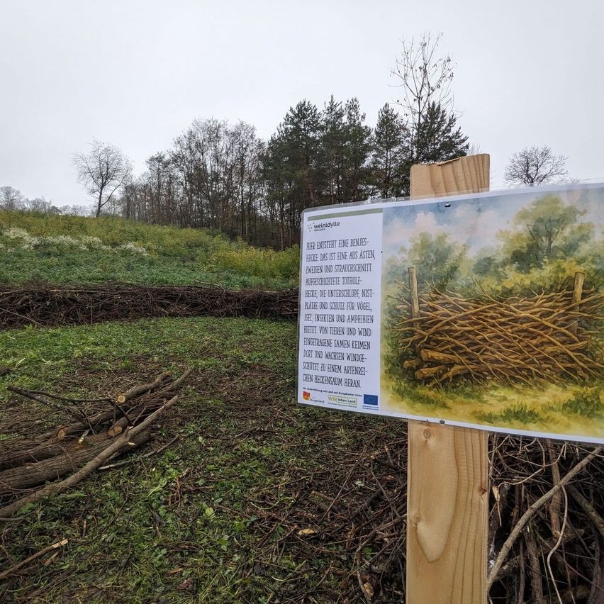 A wooden sign in a rural area shows a drawing of a nest made of twigs. The text on the sign provides information about the nest and its purpose.