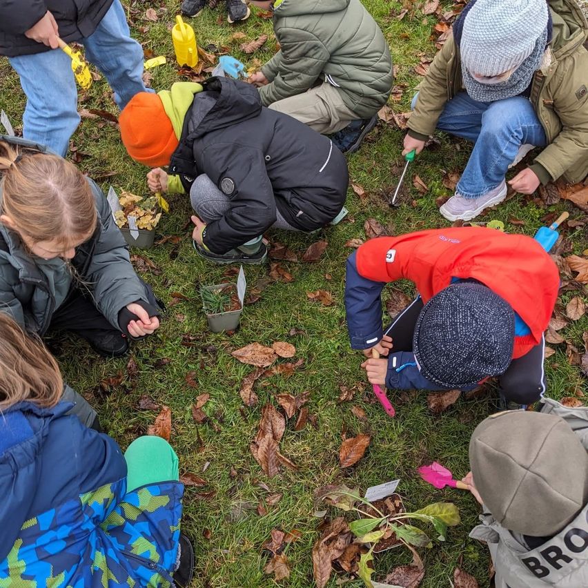 Several children in warm clothing are planting small plants in the ground on a grassy area, some with shovels and watering cans.