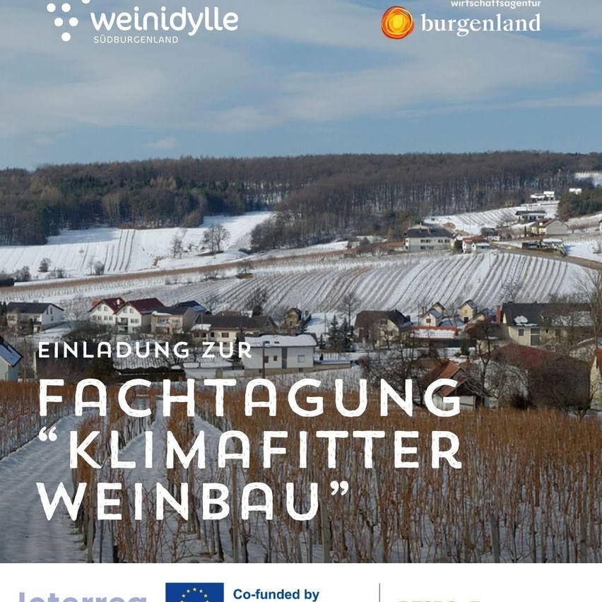 A poster invites to a climate-friendly wine-making event, showing a snowy landscape with vineyards and houses. Logos for 'Weinidyle' and 'Burgenland' are present.