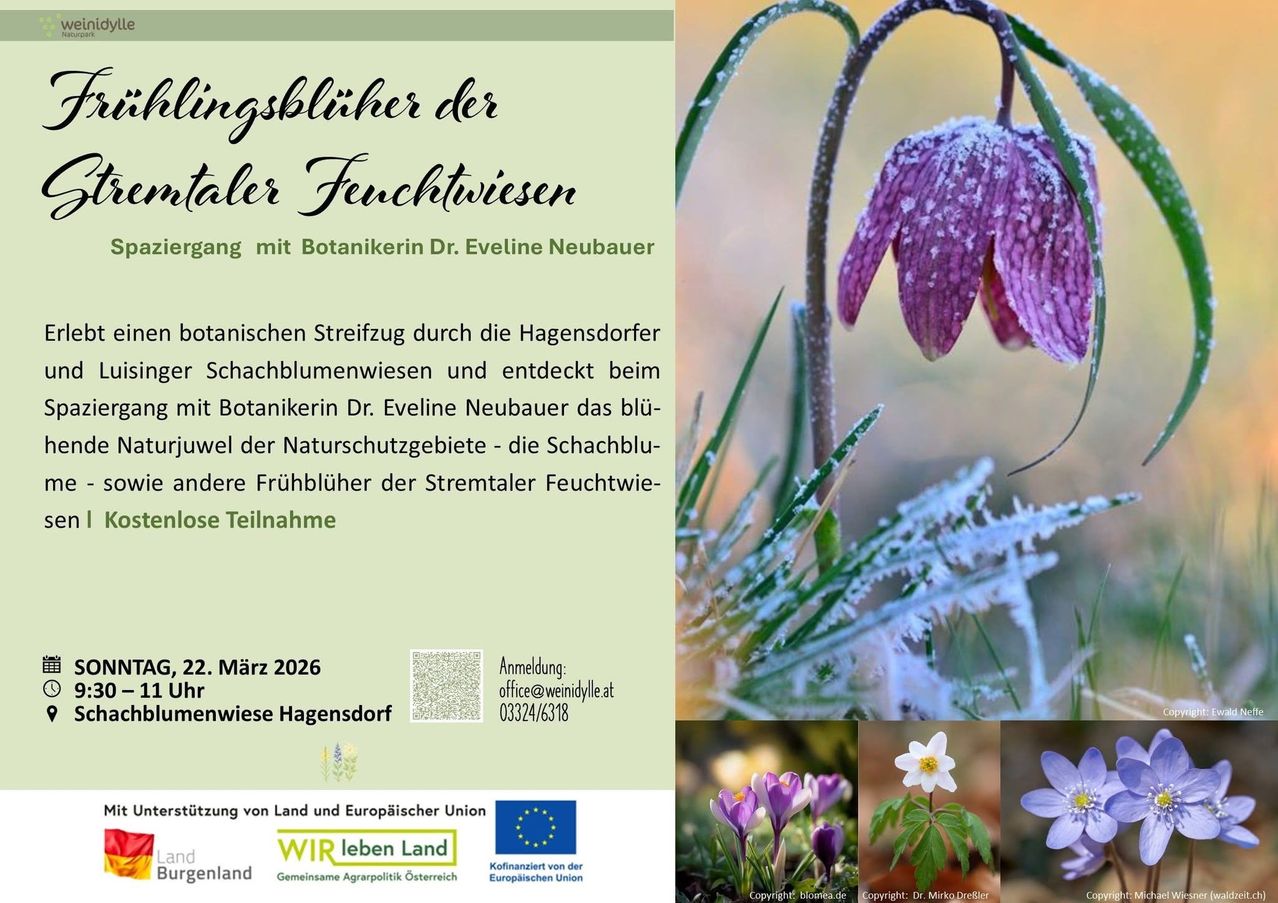 Poster for a guided botanical tour through the Hagensdorf Schachblumenwiesen. The event, led by botanist Dr. Eveline Neubauer, explores the blooming of the Stremtaler Feuchtwiesen in early spring. Dated for March 22, 2026, the flyer includes contact information and sponsorship logos.