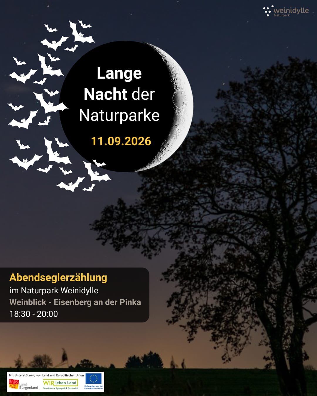 Plakat für Lange Nacht der Naturparke Veranstaltung am 11.09.2026 mit Halbmond, Fledermäusen und einem Baum.