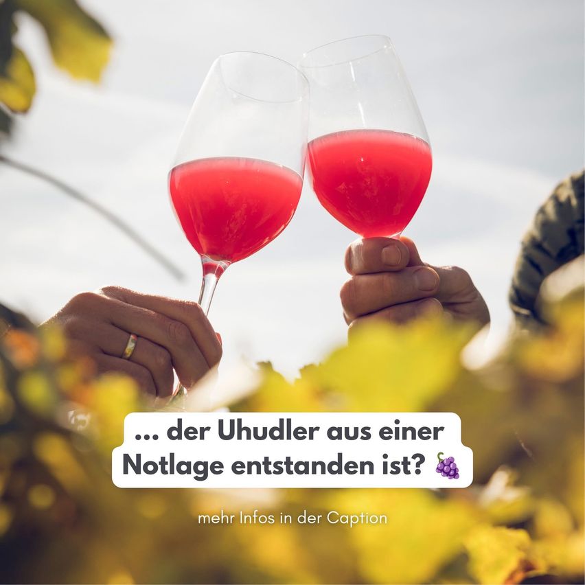 Zwei Hände halten Weinglas mit roter Flüssigkeit, einer mit einem Ring, vor grünen Blättern und einem bewölkten Himmel. Text auf Deutsch lautet '... der Uhudler aus einer Notlage entstanden ist?'.
