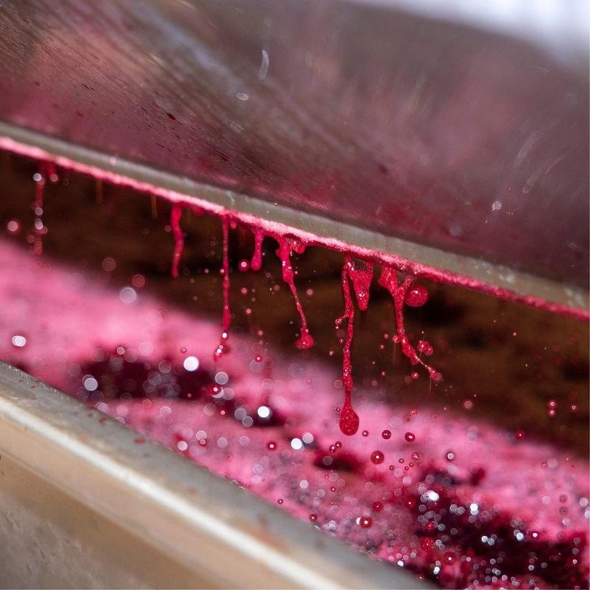 A close-up view of red liquid dripping from a metal surface into a container filled with similar liquid.