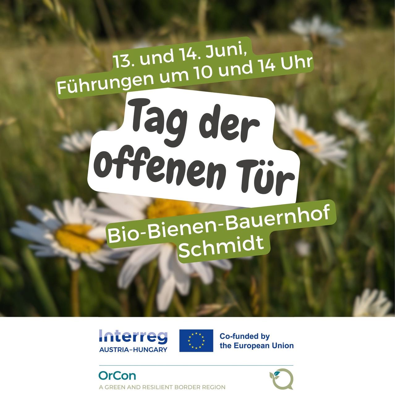 Poster for the Open Farm Day on June 13th and 14th, 10 AM and 2 PM. Bio-Bienen-Bauernhof Schmidt. Co-funded by the European Union.