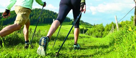 Two people are hiking in a grassy field with trees and a fence. They are wearing sneakers and using trekking poles. The person on the left wears a green jacket and khaki shorts. The person on the right wears black pants and sneakers. The sky is blue with some clouds.