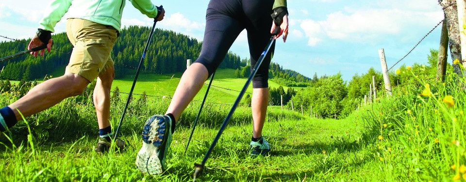Zwei Personen wandern auf einem Grasfeld mit Bäumen und einem Zaun. Sie tragen Turnschuhe und verwenden Trekkingstöcke. Die Person auf der linken Seite trägt eine grüne Jacke und Khaki-Shorts. Die Person auf der rechten Seite trägt schwarze Hosen und Turnschuhe. Der Himmel ist blau mit einigen Wolken.
