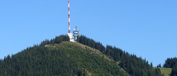 Ein hoher Telekommunikationsturm steht auf einem bewaldeten Berg, umgeben von dichtem Grün unter einem klaren blauen Himmel.
