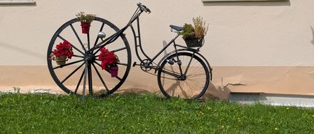 Ein altes Fahrrad mit großen Rädern und einem Korb, geschmückt mit roten Blumen und Grünpflanzen, wird an einer beigen Wand ausgestellt.