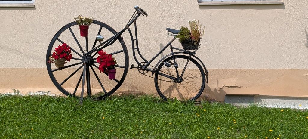 Ein altes Fahrrad mit großen Rädern und einem Korb, geschmückt mit roten Blumen und Grünpflanzen, wird an einer beigen Wand ausgestellt.