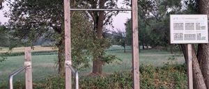 Ein Klimmzuggriff in einem Park mit einem Schild, das an einem Baumstamm befestigt ist. Das Gebiet ist von Grün umgeben und hat ein Grasfeld im Hintergrund.