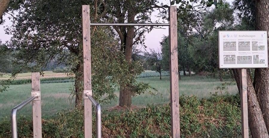 Ein Klimmzuggriff in einem Park mit einem Schild, das an einem Baumstamm befestigt ist. Das Gebiet ist von Grün umgeben und hat ein Grasfeld im Hintergrund.