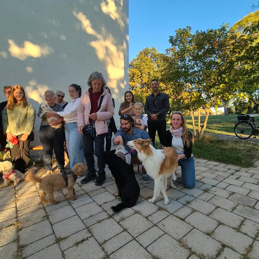 Eine Gruppe von Menschen und Hunden versammelt sich vor einem Gebäude. Einige Menschen halten Hunde und andere interagieren mit ihnen.