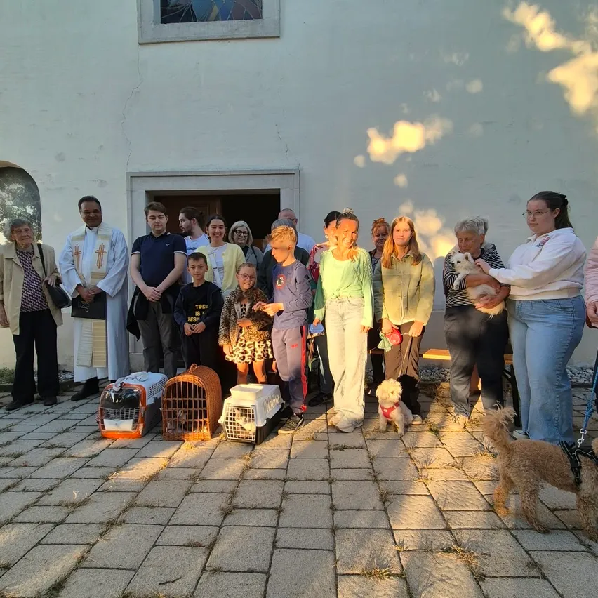 Eine Gruppe von Menschen und Hunden versammelt sich vor einer Kirche. Einige Menschen halten Hunde und einige Hunde sind in Käfigen.