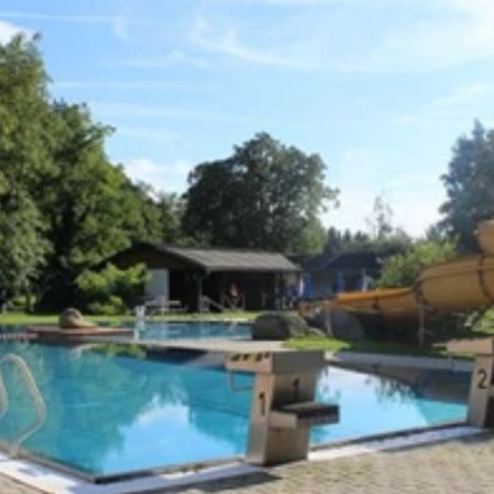 Ein Schwimmbecken ist von Bäumen umgeben. In der Nähe befindet sich eine gelbe Wasserrutsche. Ein Haus mit schwarzem Dach ist im Hintergrund. Der Himmel ist blau.