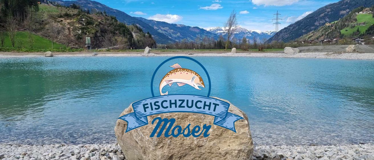 Ein ruhiger See mit Bergen im Hintergrund, ein Fels mit dem Logo eines Fisches und dem Wort Fischerei Moser.