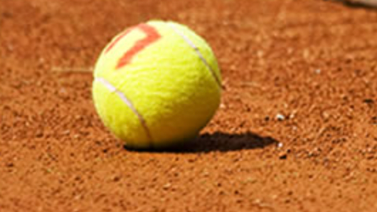 v1_migrated_image_80196116