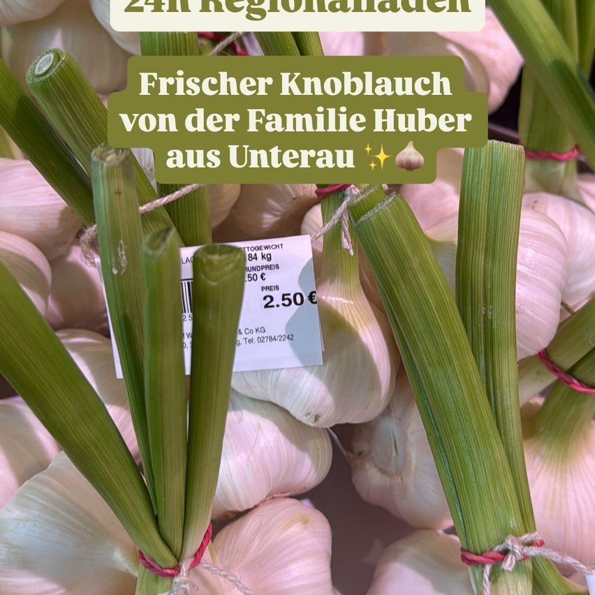 A display of fresh garlic from Familie Huber, labeled with a price of 2.50 Euros per kilogram. The garlic is neatly bundled and tied with red strings.