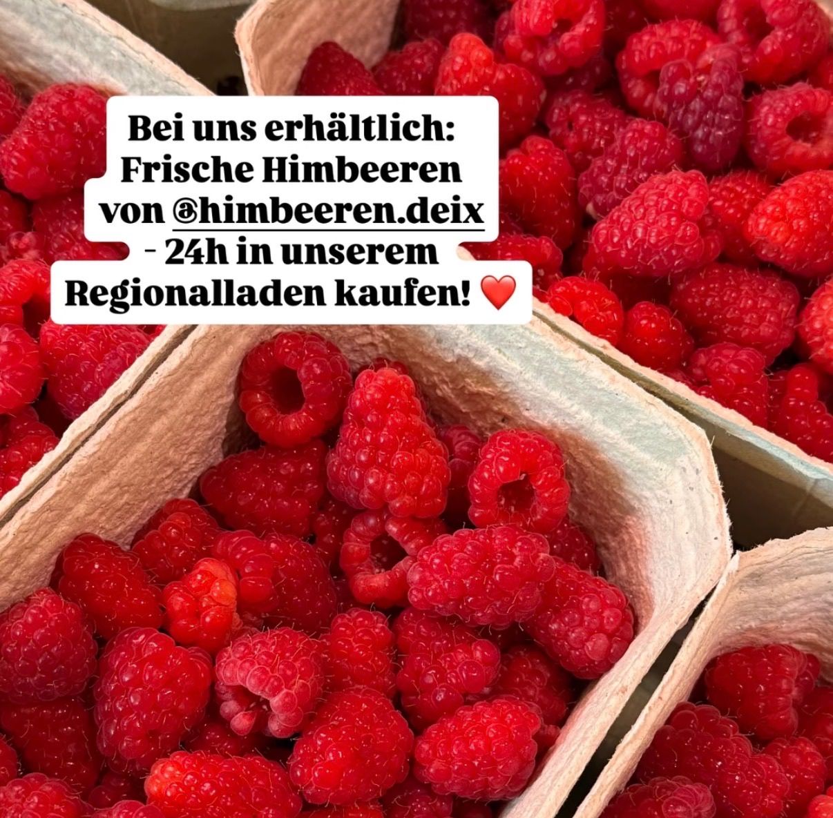 A close-up of baskets filled with fresh red raspberries. A text overlay reads 'Fresh raspberries from @himbeeren.deix - 24h in our Regionalladen kaufen!'.